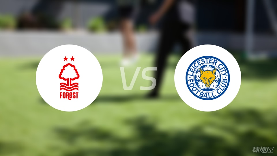 希勒等百球名宿祝贺哈兰德：仅用111场太离谱，他就是超巨